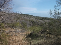 Pianobello